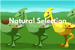 Natural Selection Order Form 